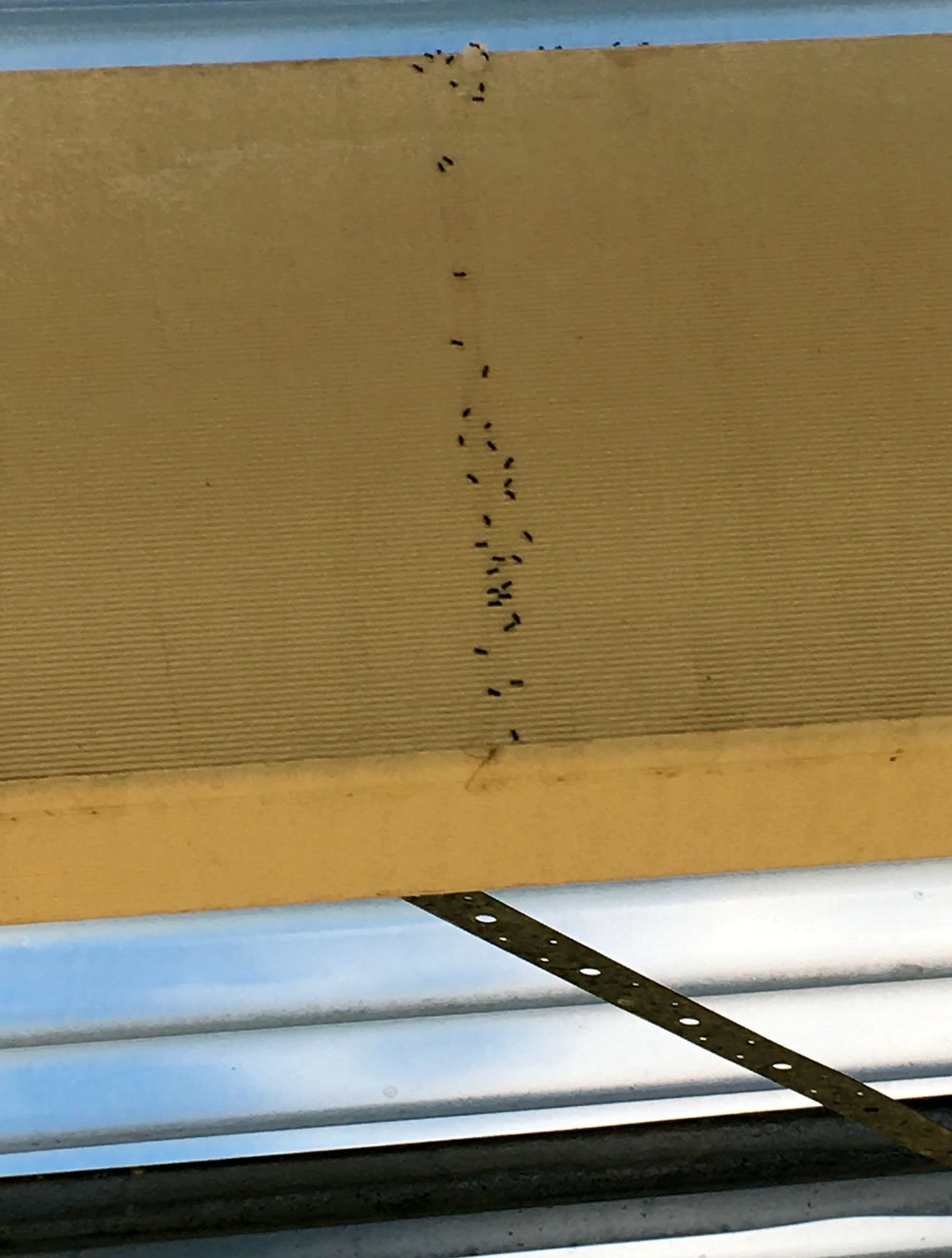 Residential Installation — Belfair Pest Control